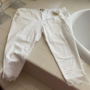 NWT Democracy white ankle length with lace 24w